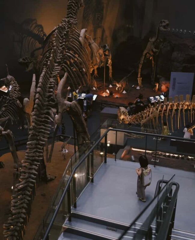 Chongqing: Jinyun Mountain, Museum & Old Street Tour - FAQs  