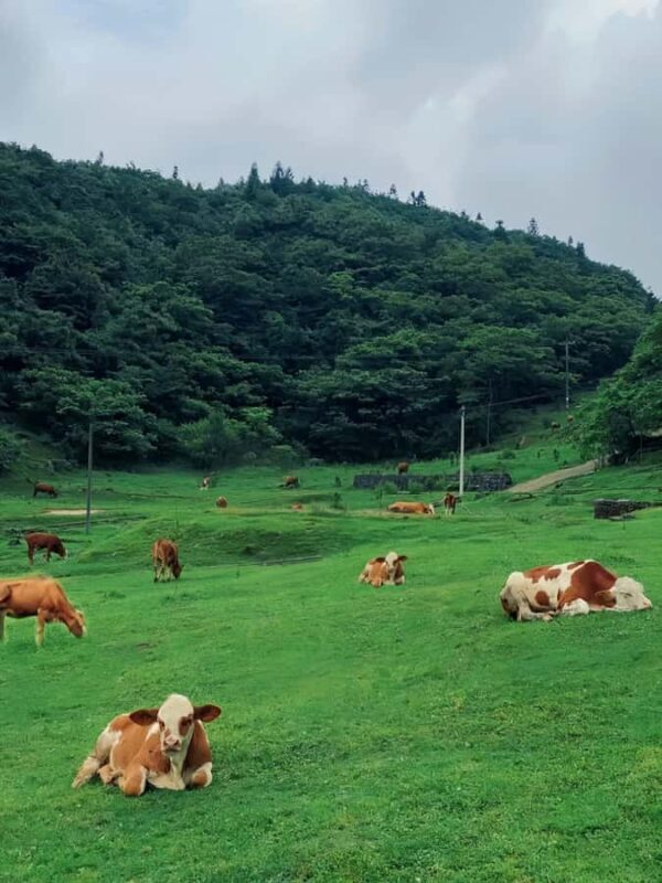 Chongqing Nanchuan 178 Loop: Lakes, Falls & Mountain Views - The Sum Up