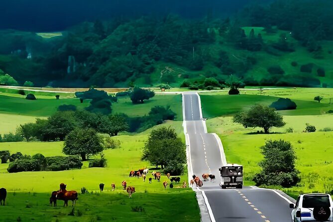 Chongqing One-Day Trip with Wulong 3 Essentials - Introduction