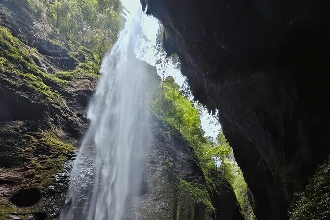 Chongqing One-Day Trip with Wulong 3 Essentials - Authentic Traveler Insights