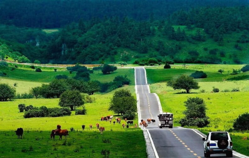 Chongqing One-Day Trip: Wulong's 3 Essentials - Good To Know