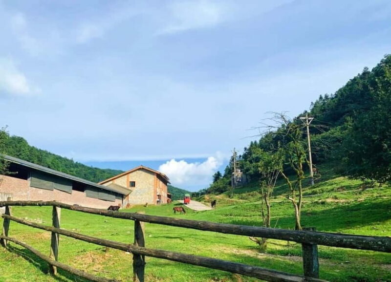 Chongqing One-Day Trip: Wulong's 3 Essentials - Practical Tips for Travelers