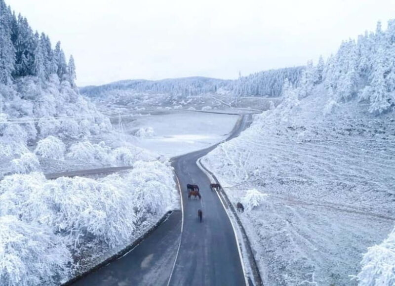 Chongqing One-Day Trip: Wulong's 3 Essentials - Final Thoughts