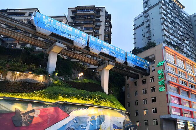 Chongqing Private Tour Pandas City Must See Hot Pot All in one - Summary: Who Is This Tour Best For?