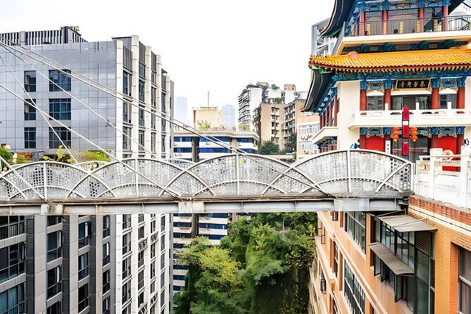 Chongqing Private Tour Pandas City Must See Hot Pot All in one - Who Should Book This Tour?