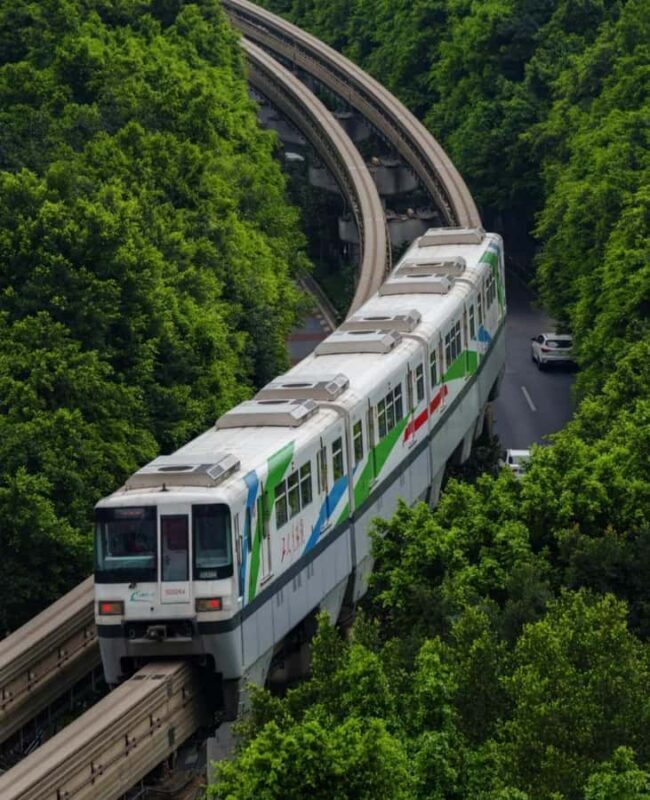 Chongqing: Small Group City Highlights & Light Rail Tour - An Introduction to Chongqings Charms