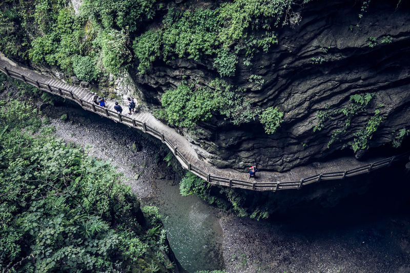 Chongqing Tiansheng Three Bridges & Fairy Mountain Day Tour - The ride, meal, and other practical details