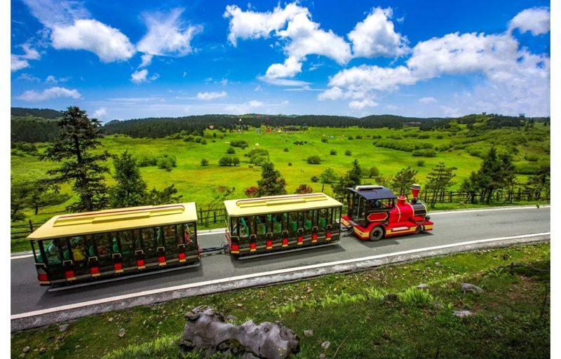 Chongqing Tiansheng Three Bridges & Xiannyushan Small Group Tour - What to know before you go