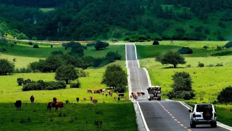 Chongqing: Tiansheng Three Natural Bridges Carpool Tour - Authentic Travel Experience and Local Insights