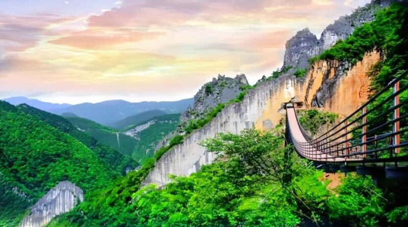 Chongqing: Underwater Museum, 816 Plant, Canyon Private Tour - Who Should Book This Tour?