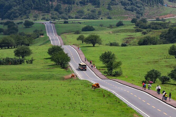 Chongqing Wulong: All inclusive luxury private trip to 2 spots - Practical Considerations