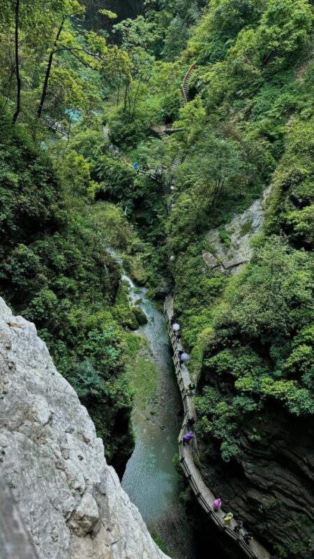 Chongqing Wulong Karst National Park Day Tour - Booking flexibility and what is still unclear