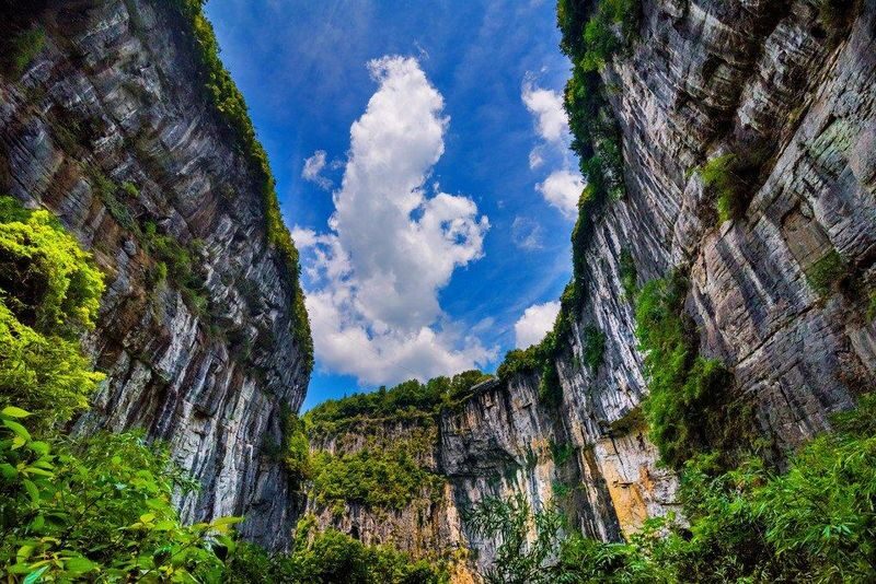 Chongqing Wulong Three Natural Bridges + Longshui Gorge Fissure/Xiannyushan National Forest Park One-Day Tour - The drive, pickup, and return to Chongqing