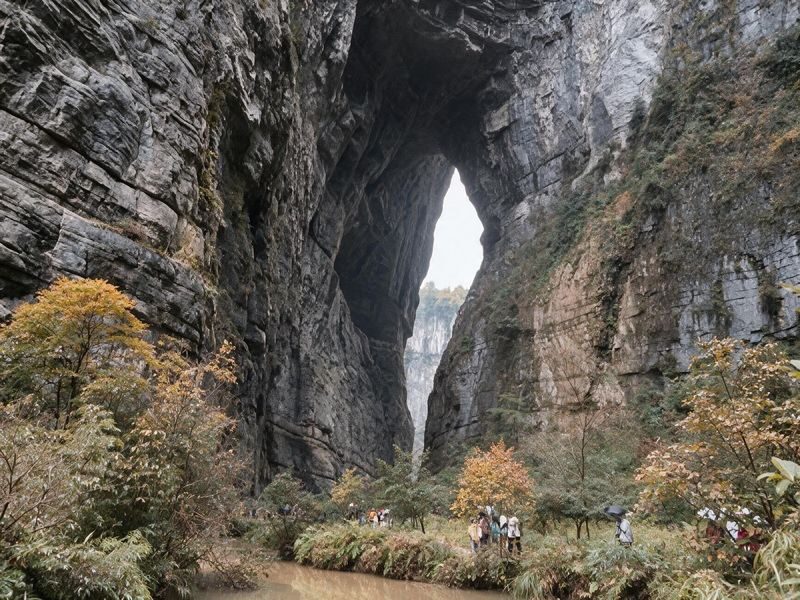 Chongqing Wulong Three Natural Bridges + Longshui Gorge Fissure/Xiannyushan National Forest Park One-Day Tour - Choosing the right package and understanding the price