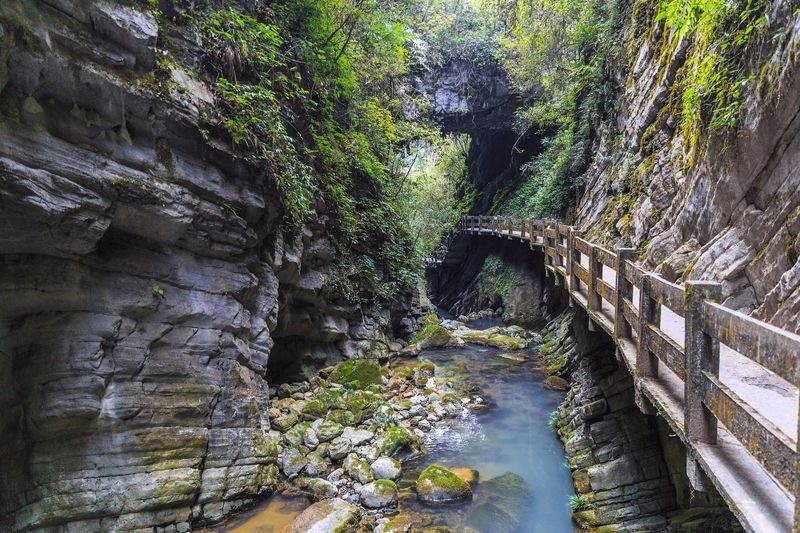 Chongqing Wulong Three Natural Bridges + Longshui Gorge Fissure/Xiannyushan National Forest Park One-Day Tour - Guides, language, and how much independence to expect