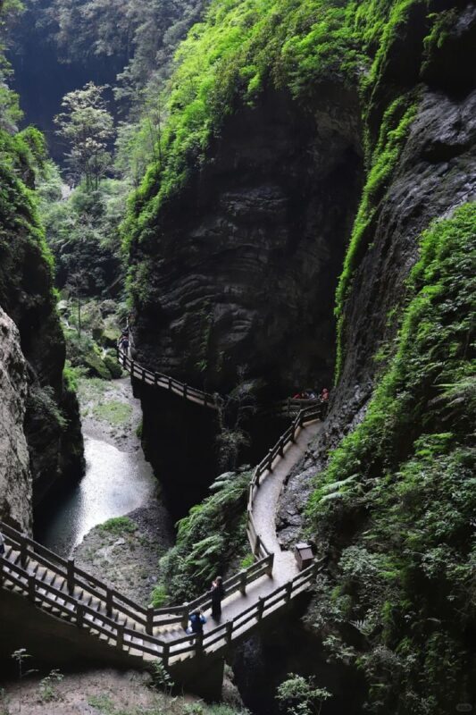 Chongqing Wulong Tiankeng Three Bridges and Longshui Gorge Seam Private Day Tour - What the price covers, and what it does not