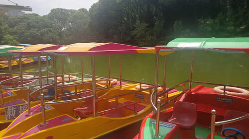 Chongqing Zoo - Getting there and finding your way out