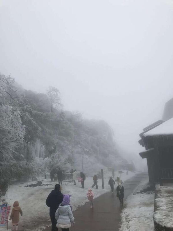 Chongqing:1-day Jinfoshan Mt hiketrip (licen guide,with car) - Who Will Love This Tour?