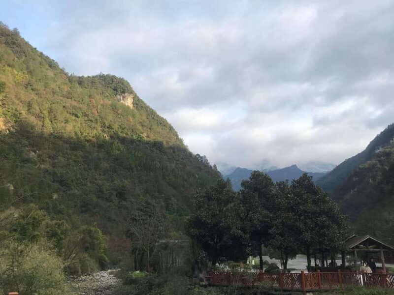 Chongqing:1-day Jinfoshan Mt hiketrip (licen guide,with car) - Who Will Love This Tour?