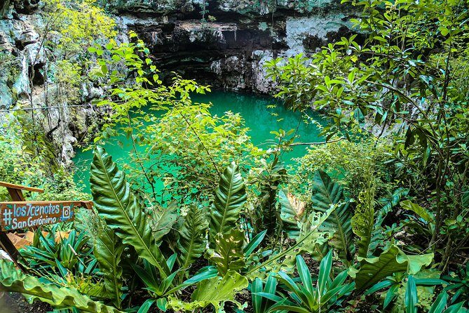Choose your experience to live in Los 7 Cenotes San Gerónimo - The Itinerary: What to Expect from Start to Finish