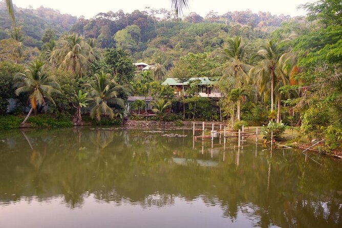 Choose Your Own Dishes: Half-Day Thai Cooking Class in Phuket - What to Expect During the Class