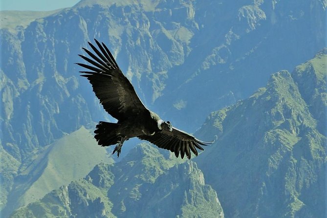 Choquequirao Trek 5 Days and 4 Nights - Additional Information and Support