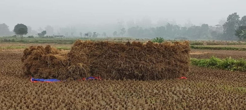 Chormara: Homestay, Meals, & Cultural Immersion Program - Good To Know  