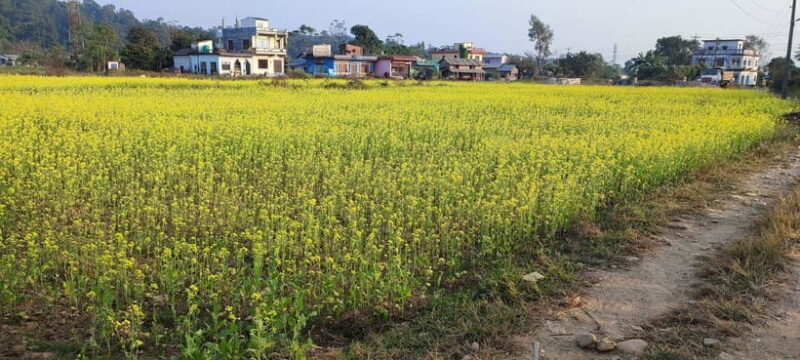 Chormara: Homestay, Meals, & Cultural Immersion Program - FAQs