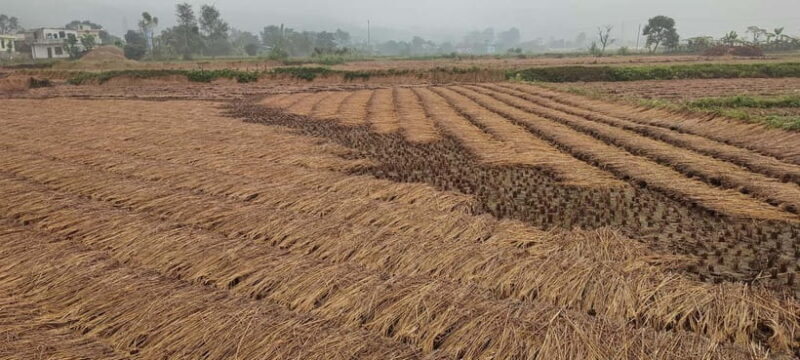 Chormara: Homestay, Meals, & Cultural Immersion Program - Practical Details and Logistics