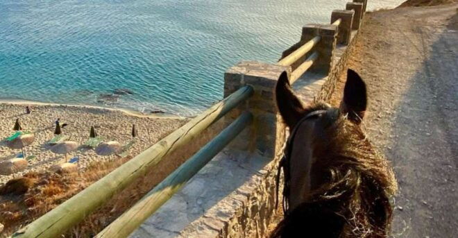 CHR - Crete Horse Riding: East Coastline Ride - Inclusions and Restrictions