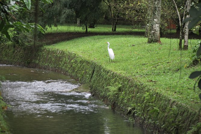 Christ, Botanic Garden & Waterfall Shower. 6 Hours Tour. - Booking Information