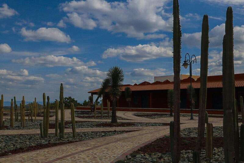 Christ the King Traveling Mummies VS El Santo and Catrinas - Final Thoughts