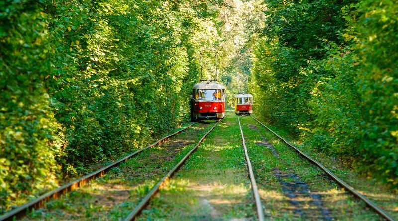 Christ the Redeemer Corcovado Train Experience - A short train ride with a long history