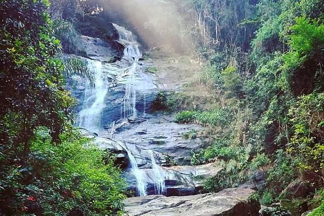 Christ With Tijuca Forest - Private Tour - Price and Booking