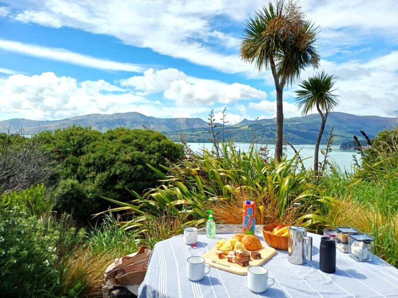 Christchurch: 1/2-Day Scenic Highlights Small Group Tour - An Authentic Look at Christchurch’s Scenic Highlights