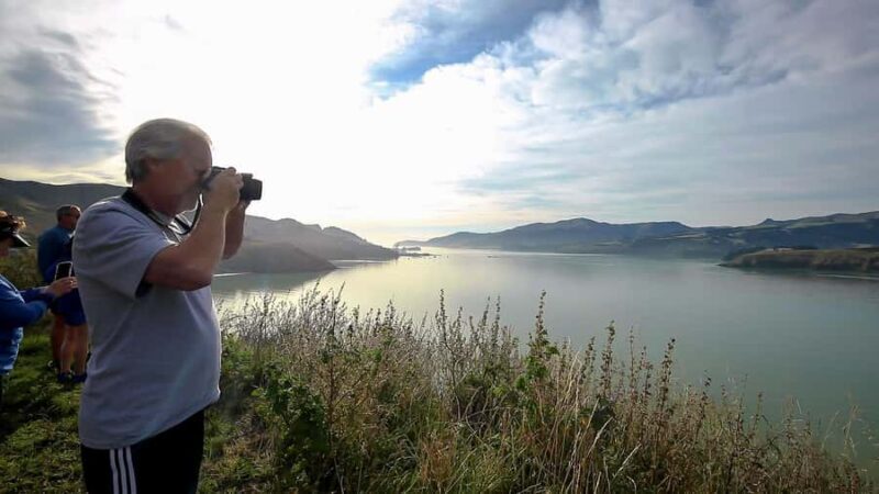 Christchurch: 1/2-Day Scenic Highlights Small Group Tour - FAQ