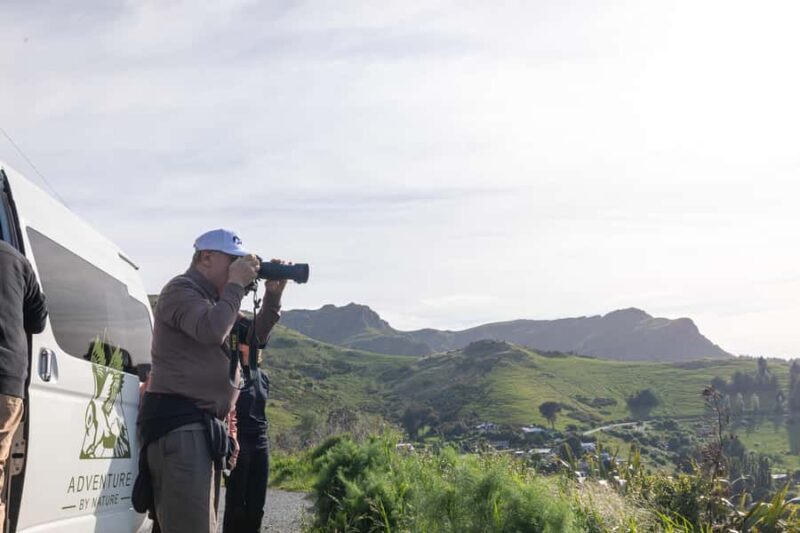 Christchurch: Akaroa and Banks Peninsula Day Trip - Who Should Consider This Tour?