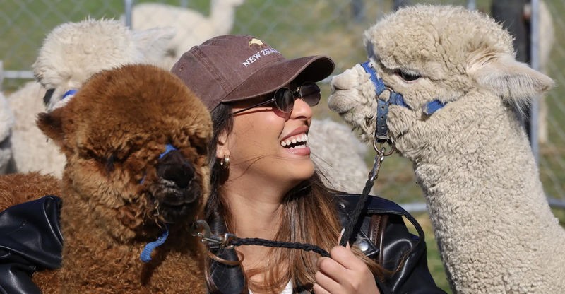 Christchurch Alpaca Farm Tours by Silverstream Alpaca Farmstay - Getting from Christchurch to Moodys Road