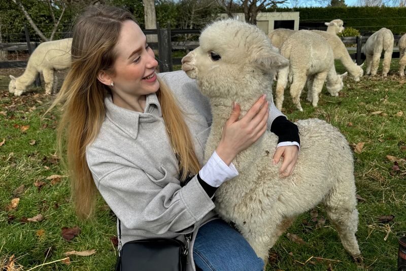 Christchurch Alpaca Farm Tours by Silverstream Alpaca Farmstay - Meeting Kit and the alpaca herd