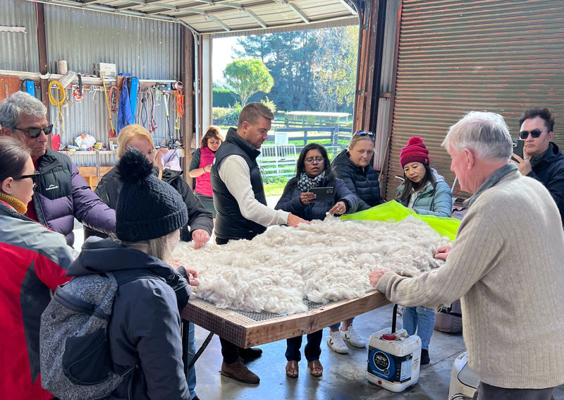 Christchurch Alpaca Farm Tours by Silverstream Alpaca Farmstay - What the price gets you