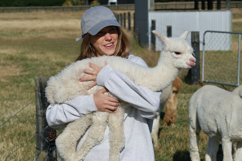 Christchurch Alpaca Farm Tours by Silverstream Alpaca Farmstay - What to bring and what to know before you go