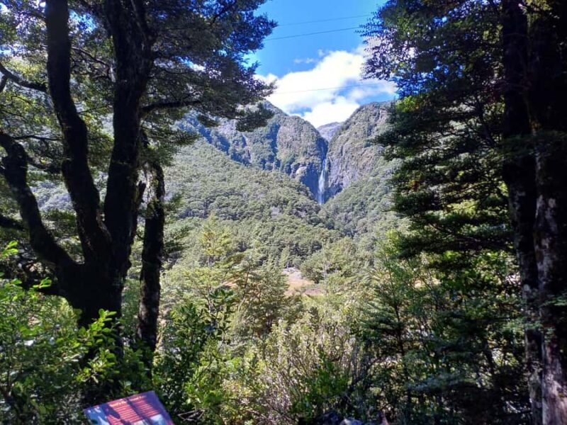 Christchurch: Arthur's Pass & Castle Hill Scenic Day Tour - An In-Depth Look at the Tour