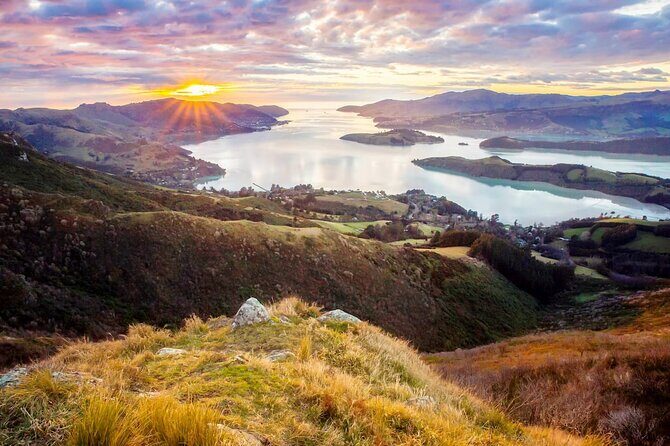 Christchurch City Highlights Half Day Tour - Practical Considerations