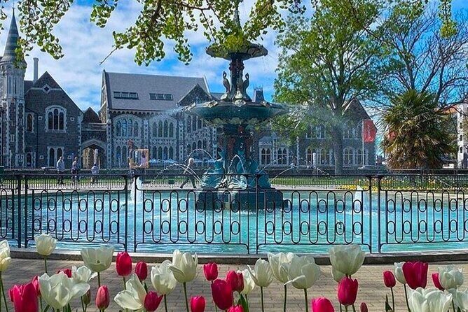 Christchurch City Private Day Tour with Gondola - A Deep Dive into the Christchurch Private Tour