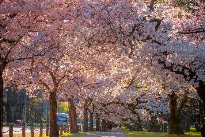 Christchurch City Private Day Tour with Gondola - Frequently Asked Questions