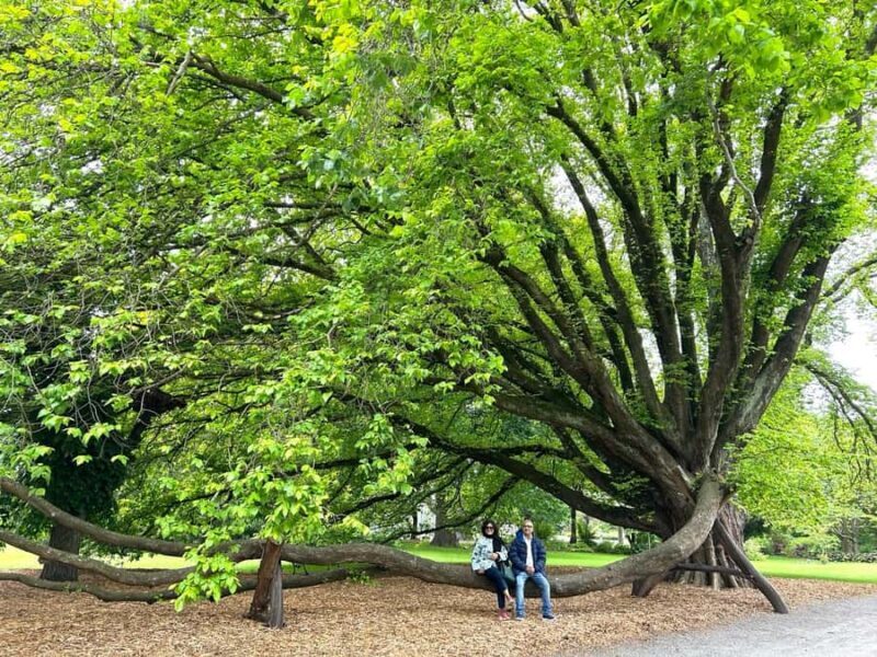 Christchurch City Top Spots Half Day Tour(Small Group Tour) - FAQ