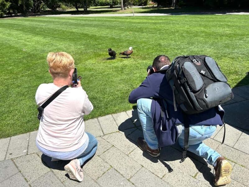 Christchurch City Top Spots Private Half Day Tour - Who Will Love This Tour?