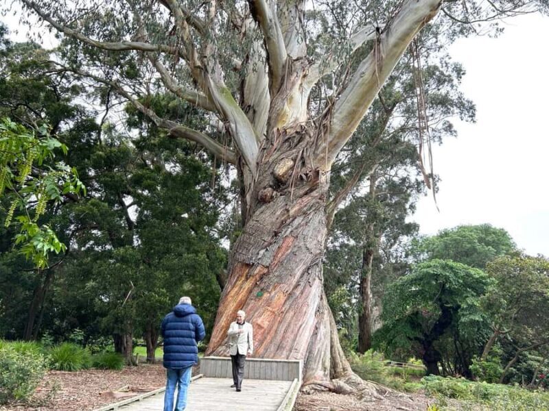 Christchurch City Top Spots Private Half Day Tour - FAQ