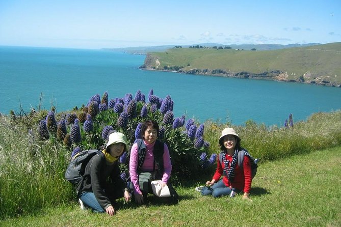 Christchurch Coastal Hiking Tour - Inclusions