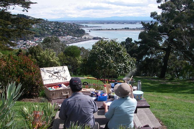Christchurch Coastal Hiking Tour - Common Questions